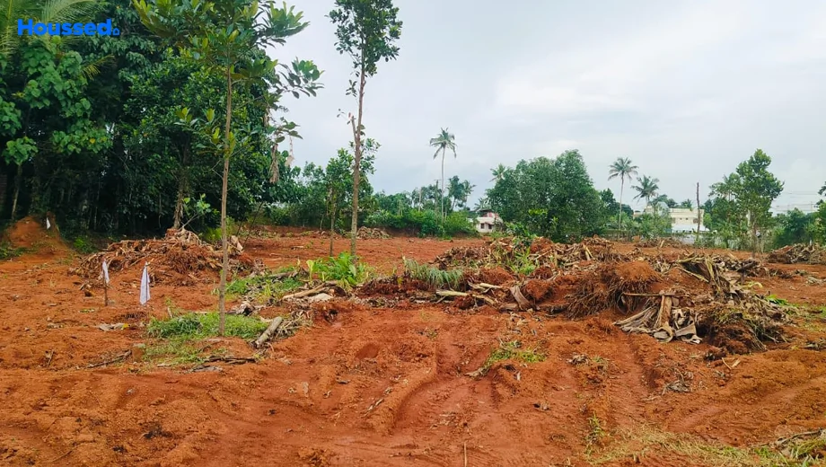 Project Image of Housing Plot/Residential Land for Resale in Nedumbassery - Image 161017