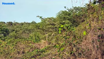 Project Image of Housing Plot/Residential Land for Resale in Dona Paula, Goa - Image 161023