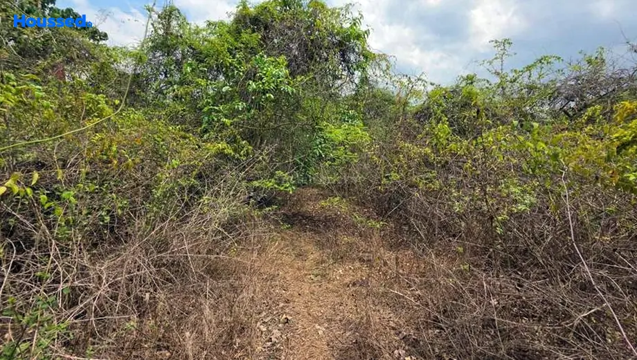 Project Image of Housing Plot/Residential Land for Resale in Kadamba Plateau - Image 161025