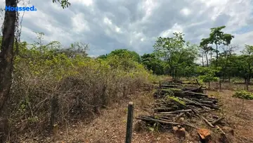 Project Image of Housing Plot/Residential Land for Resale in Kadamba Plateau, Goa - Image 161024