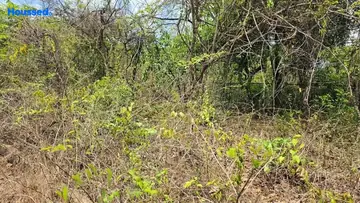 Project Image of Housing Plot/Residential Land for Resale in Kadamba Plateau, Goa - Image 161027