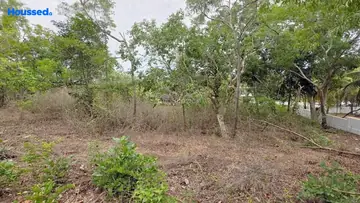 Project Image of Housing Plot/Residential Land for Resale in Anjuna, Goa - Image 161028