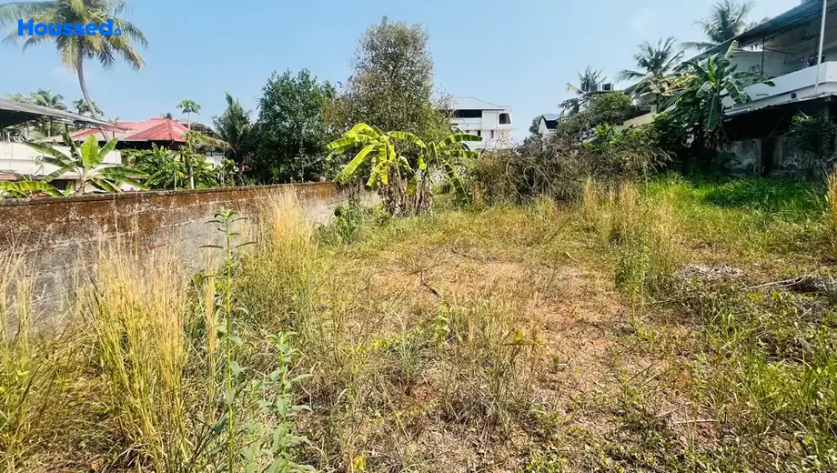 Project Image of Housing Plot/Residential Land for Resale in Kangarapady - Image 161580