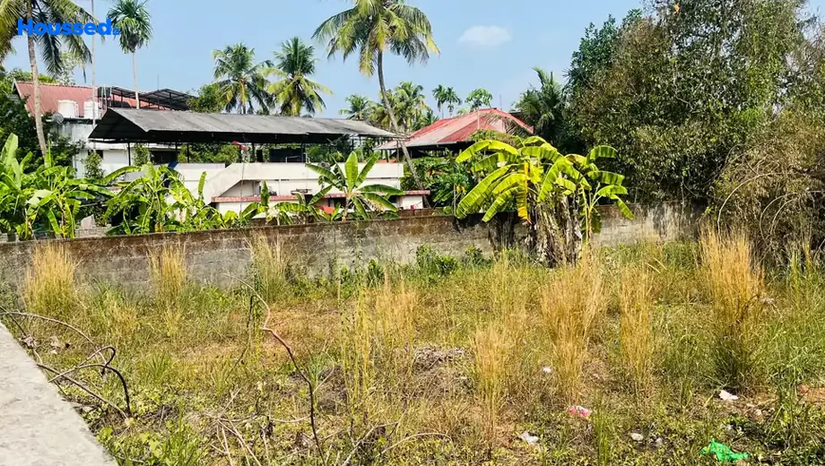 Project Image of Housing Plot/Residential Land for Resale in Kangarapady - Image 161582