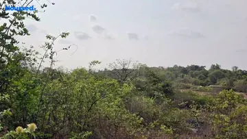 Project Image of Housing Plot/Residential Land for Resale in Aldona, Goa - Image 161058
