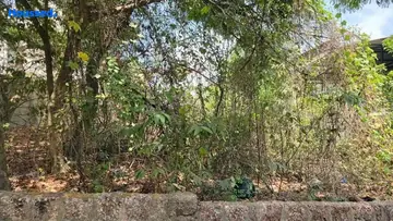 Project Image of Housing Plot/Residential Land for Resale in Ribandar, Goa - Image 161072