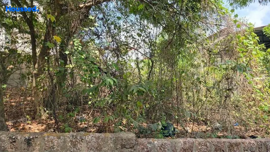 Project Image of Housing Plot/Residential Land for Resale in Ribandar - Image 161072