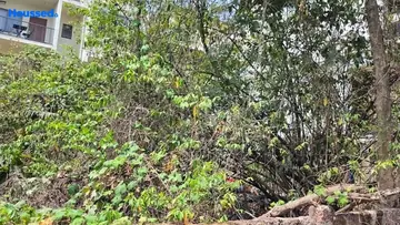 Project Image of Housing Plot/Residential Land for Resale in Ribandar, Goa - Image 161091