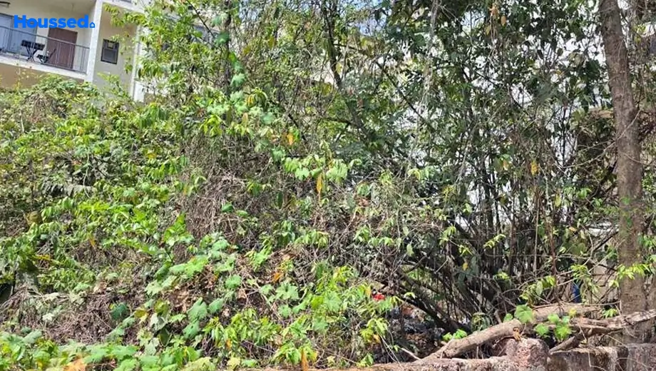 Project Image of Housing Plot/Residential Land for Resale in Ribandar - Image 161091