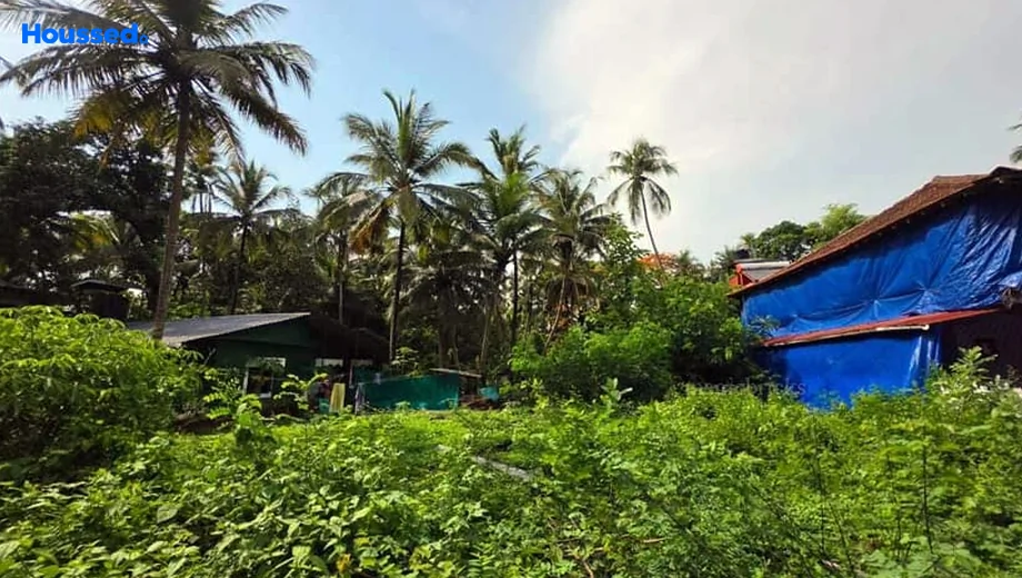 Project Image of Housing Plot/Residential Land for Resale in Betalbatim - Image 161185
