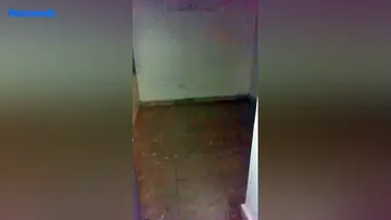 Project Image of 3 BHK Flat for Rent in Maa Shakti Complex Kankarbagh, Patna - Image 162419