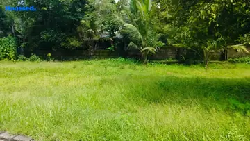 Project Image of Housing Plot/Residential Land for Resale in Angamaly, Kochi - Image 161874