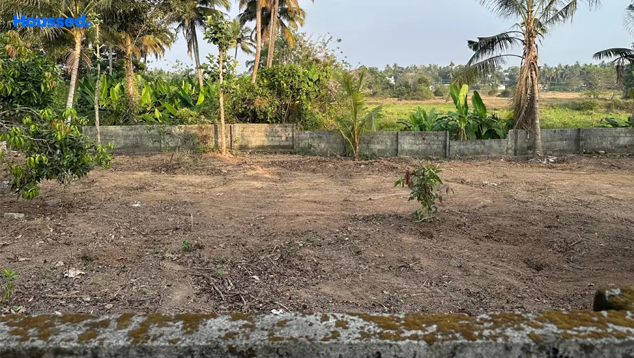 Project Image of Housing Plot/Residential Land for Resale in Aluva - Image 162246