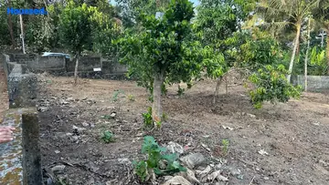 Project Image of Housing Plot/Residential Land for Resale in Aluva, Kochi - Image 162245