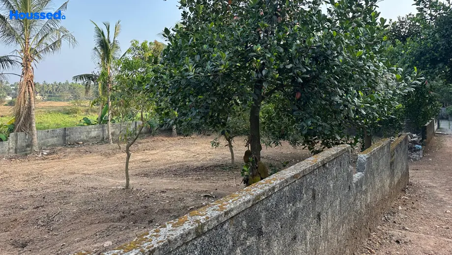 Project Image of Housing Plot/Residential Land for Resale in Aluva - Image 162247