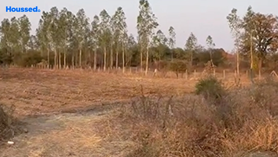 Project Image of Housing Plot/Residential Land for Resale in Hingna Road - Image 162354