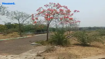 Project Image of Housing Plot/Residential Land for Resale in Harmony Town Tagarapuvalsa, Visakhapatnam - Image 163194