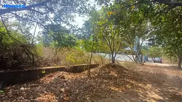 Project Image of Housing Plot/Residential Land for Resale in Madhurawada, Visakhapatnam - Image 163204