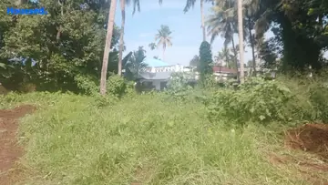 Project Image of Housing Plot/Residential Land for Resale in Aluva, Kochi - Image 163299