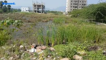 Project Image of Housing Plot/Residential Land for Resale in Rushikonda, Visakhapatnam - Image 163297