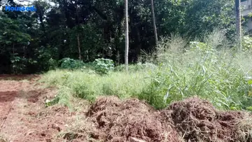 Project Image of Housing Plot/Residential Land for Resale in Aluva, Kochi - Image 163300