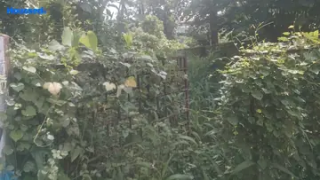 Project Image of Housing Plot/Residential Land for Resale in Aluva, Kochi - Image 163302