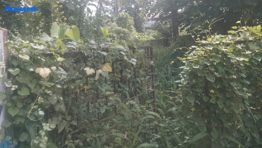 Project Image of Housing Plot/Residential Land for Resale in Aluva - Image 163302