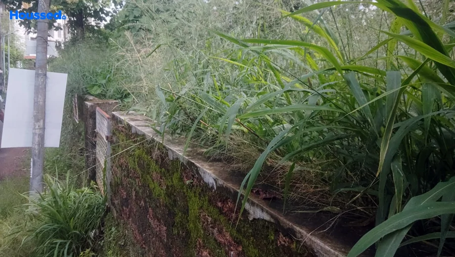 Project Image of Housing Plot/Residential Land for Resale in Aluva - Image 163301