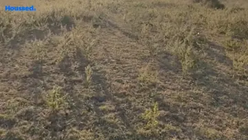 Project Image of Housing Plot/Residential Land for Resale in Mouza Issasani Hingna, Nagpur - Image 163747