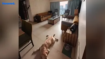 Project Image of 3 BHK Flat for Resale in Adani Western Heights Andheri West, Mumbai - Image 164517
