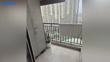 Project Image of 3 BHK Flat for Resale in Paramount Floraville Sector 137, Noida - Image 164565