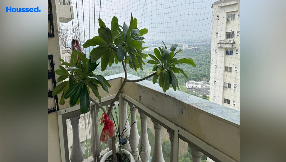 Project Image of 3.5 BHK Flat for Resale in Nimbus The Hyde Park, Sector 78 - Image 165159