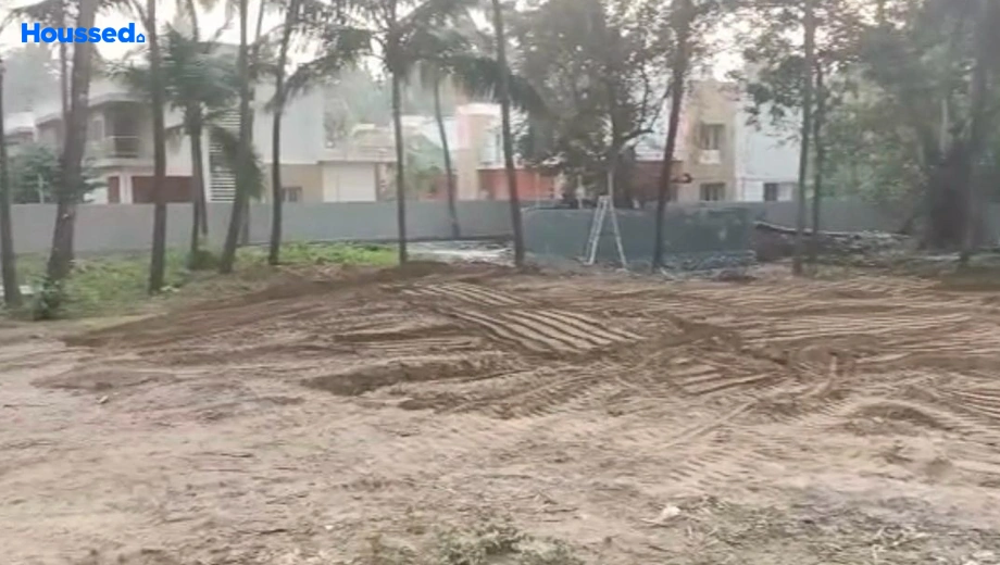 Project Image of Agriculture Land for Resale in Palghar West - Image 165396