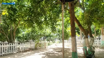 Project Image of Housing Plot/Residential Land for Resale in Chengalpattu, Chennai - Image 165846