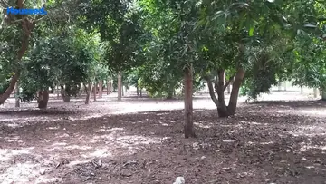 Project Image of Housing Plot/Residential Land for Resale in Chengalpattu, Chennai - Image 165845