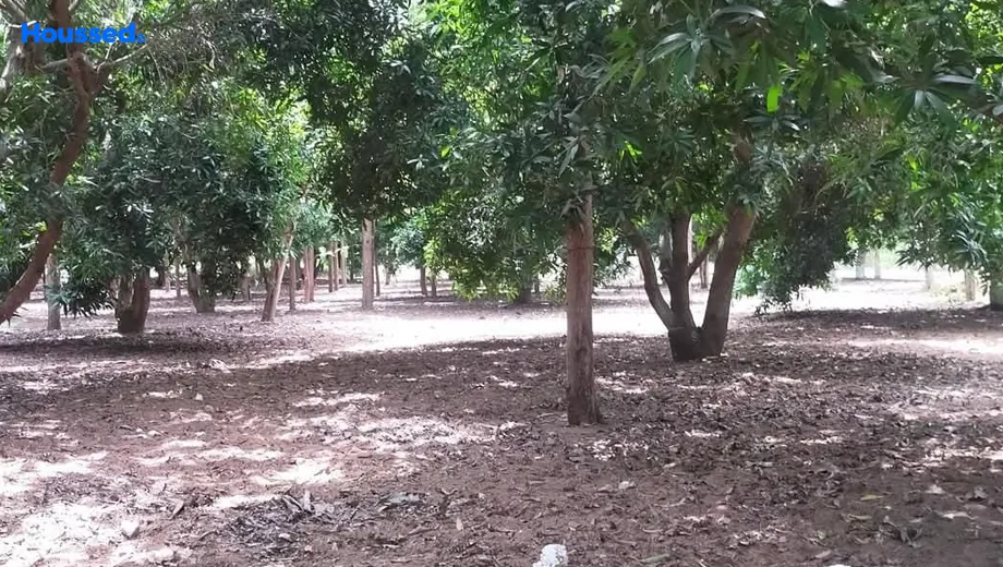 Project Image of Housing Plot/Residential Land for Resale in Chengalpattu - Image 165845