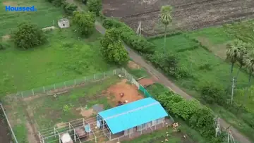 Project Image of Agriculture Land for Resale in Nidamanuru, Vijayawada - Image 166042