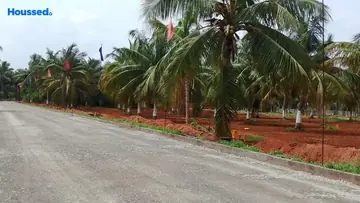 Project Image of Housing Plot/Residential Land for Resale in Bhogapuram, Visakhapatnam - Image 166186