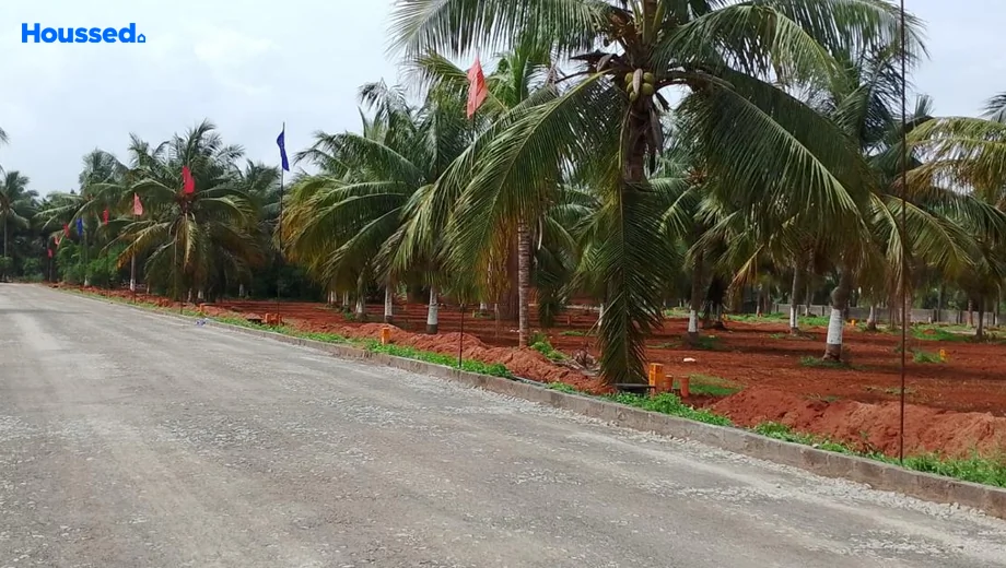 Project Image of Housing Plot/Residential Land for Resale in Bhogapuram - Image 166186