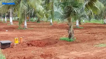 Project Image of Housing Plot/Residential Land for Resale in Bhogapuram, Visakhapatnam - Image 166192
