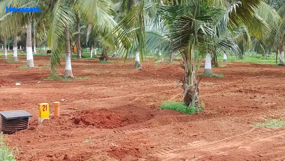 Project Image of Housing Plot/Residential Land for Resale in Bhogapuram - Image 166192