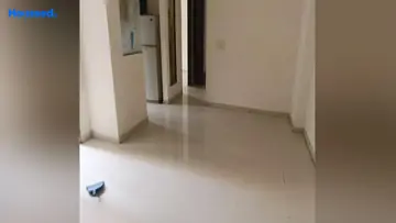 Project Image of 2.5 BHK Flat for Resale in Prateek Laurel Sector 120, Noida - Image 166515
