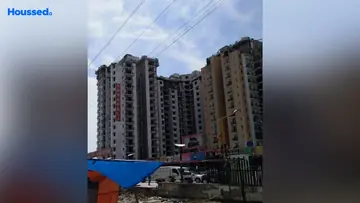 Project Image of 2 BHK Flat for Resale in Amrapali Platinum Sector 119, Noida - Image 166959