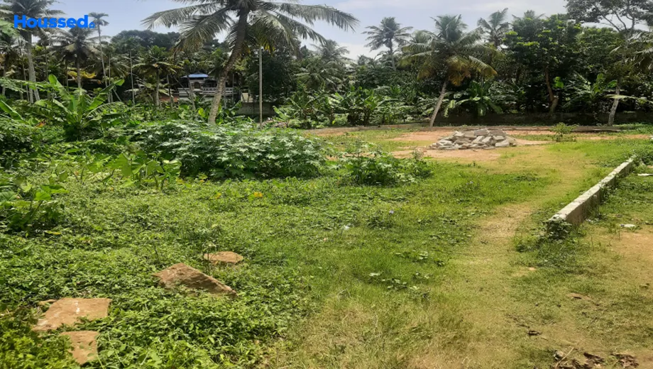 Project Image of Housing Plot/Residential Land for Resale in Poojappura - Image 167024