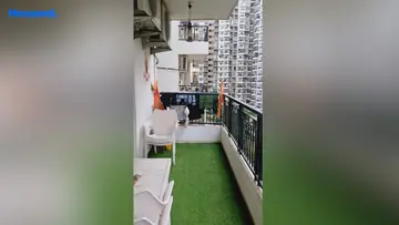 Project Image of 3 BHK Flat for Resale in Gulshan Ikebana Sector 143, Noida - Image 167219