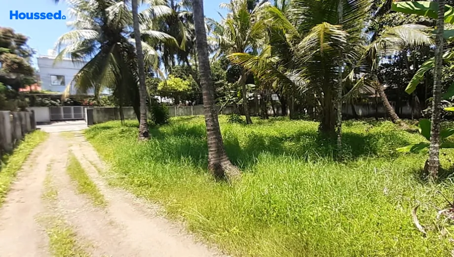 Project Image of Housing Plot/Residential Land for Resale in Kadavanthra - Image 167462
