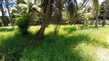 Project Image of Housing Plot/Residential Land for Resale in Kadavanthra, Kochi - Image 167463