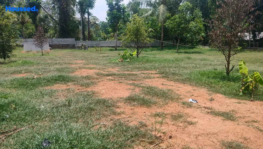 Project Image of Housing Plot/Residential Land for Resale in Angamaly - Image 167481