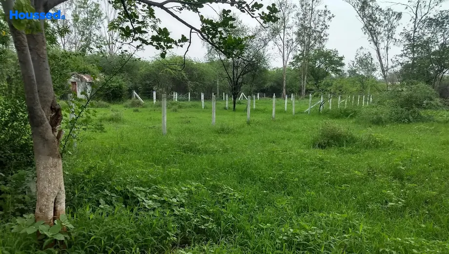 Project Image of Housing Plot/Residential Land for Resale in Green City, Ghuma - Image 167519