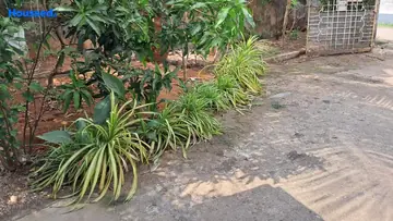 Project Image of Housing Plot/Residential Land for Resale in Kadavanthra, Kochi - Image 167532